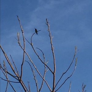 Meet your Posher, Carla